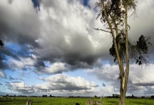 沃尔夫斯堡在主场力克强敌，实现赛季首胜