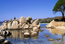 阿森纳遭遇连败：枪手需尽快调整状态